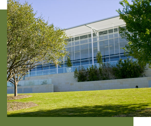 Commercial landscape construction services in DFW